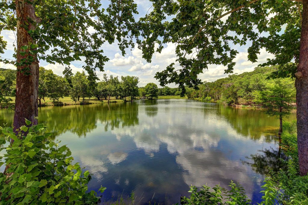 One-of-a-Kind Oasis in Comal County