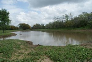 Pond After